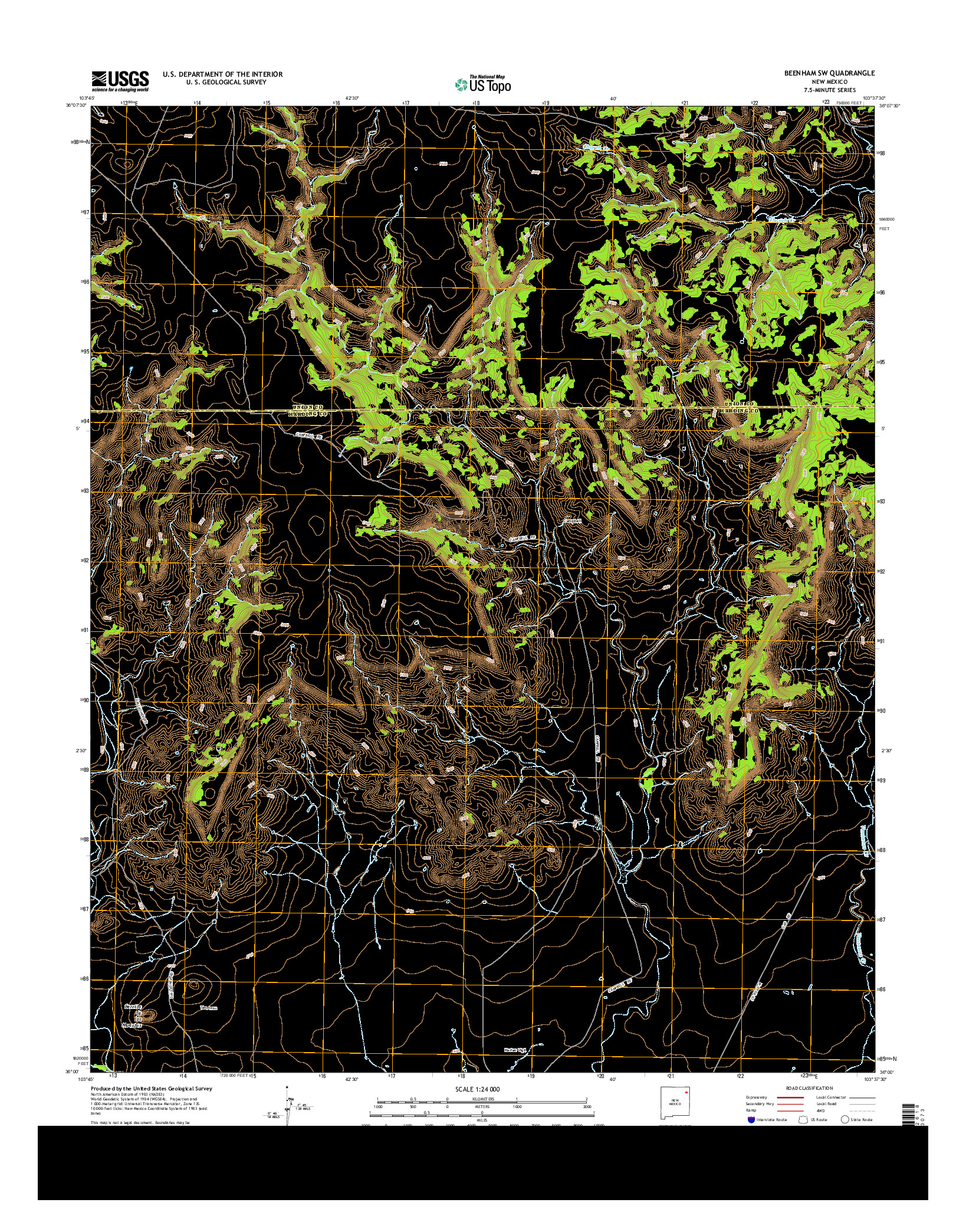 USGS US TOPO 7.5-MINUTE MAP FOR BEENHAM SW, NM 2013