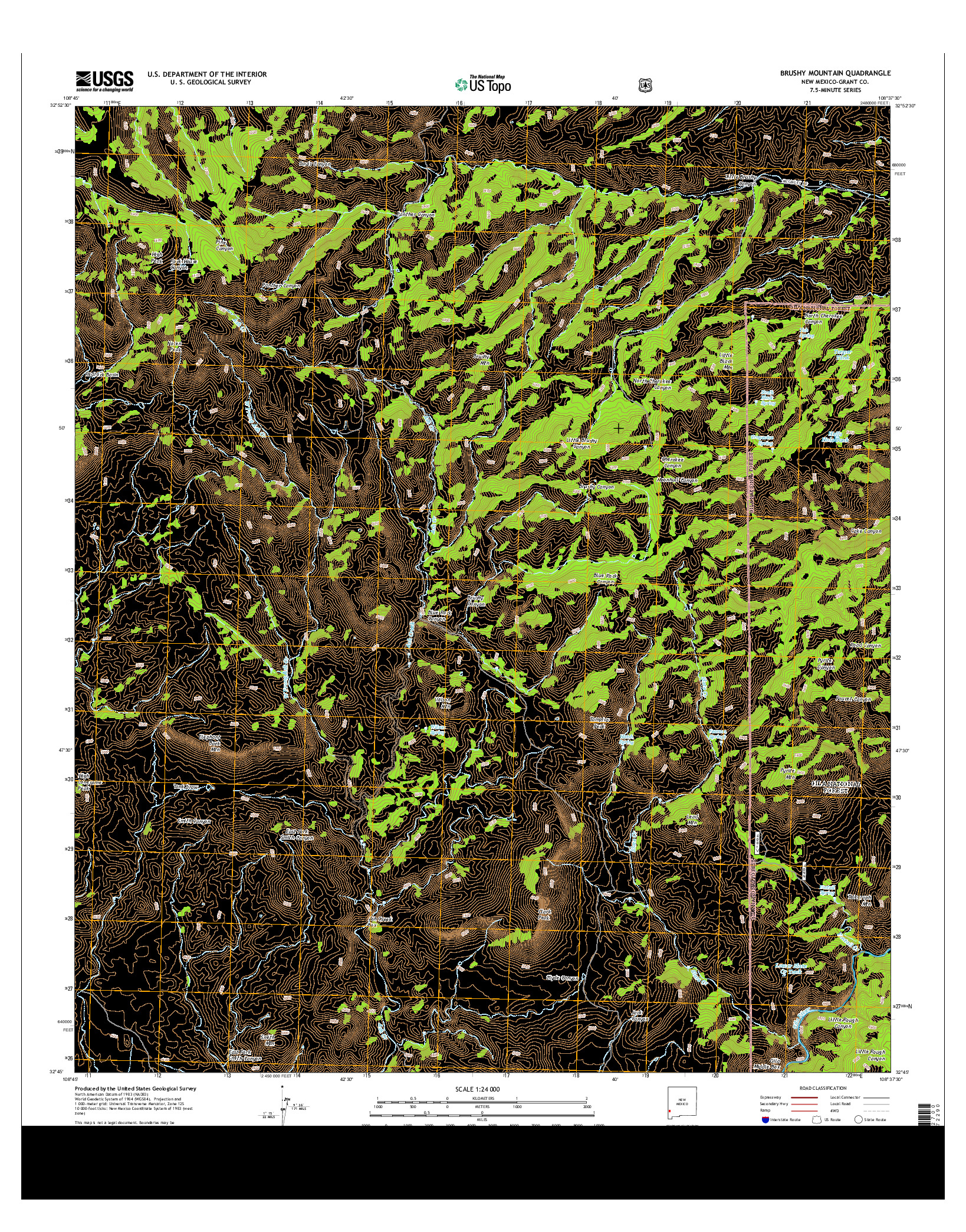 USGS US TOPO 7.5-MINUTE MAP FOR BRUSHY MOUNTAIN, NM 2013