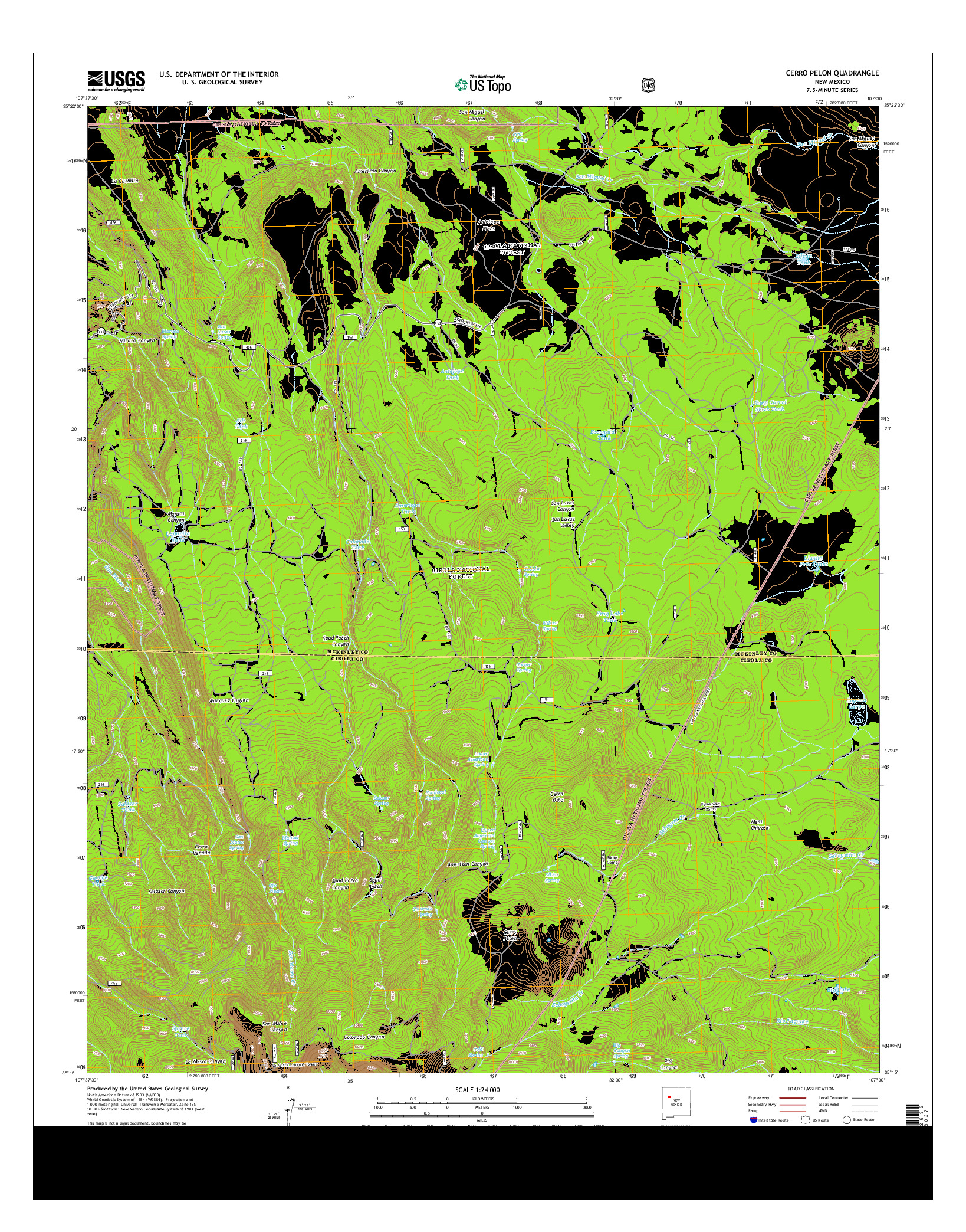 USGS US TOPO 7.5-MINUTE MAP FOR CERRO PELON, NM 2013