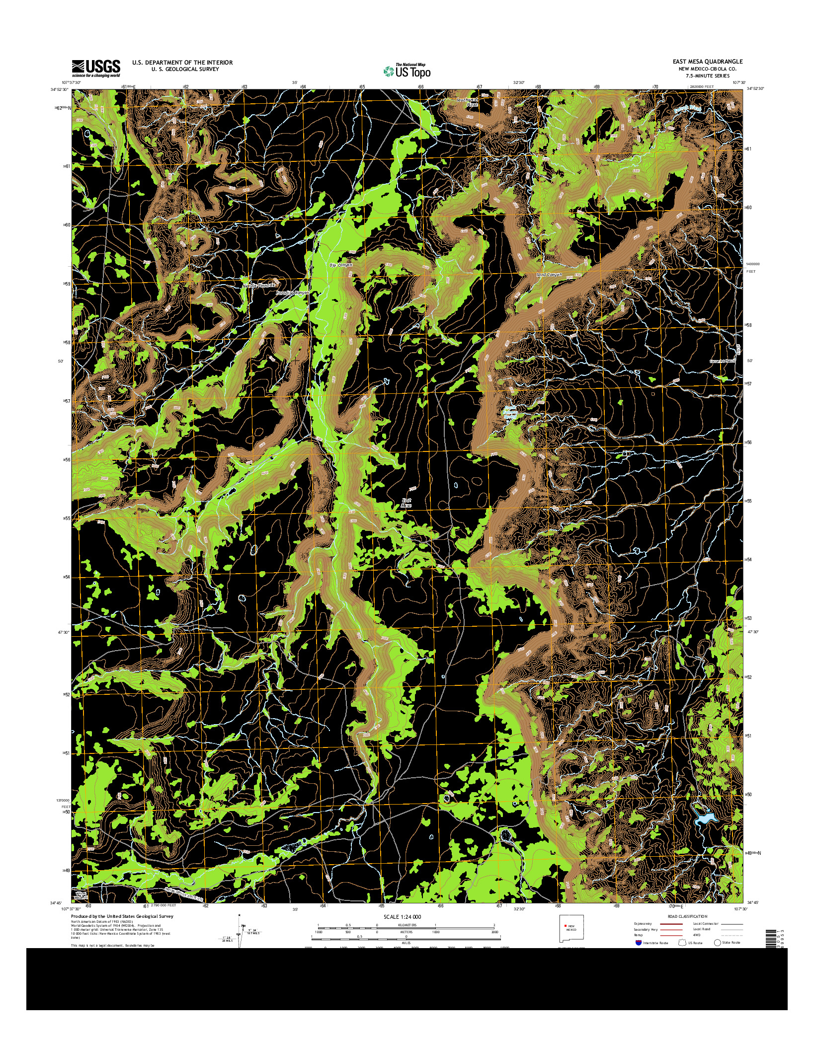 USGS US TOPO 7.5-MINUTE MAP FOR EAST MESA, NM 2013
