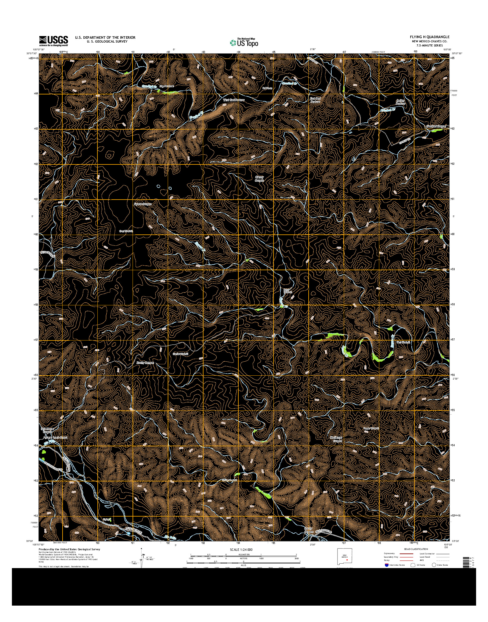 USGS US TOPO 7.5-MINUTE MAP FOR FLYING H, NM 2013