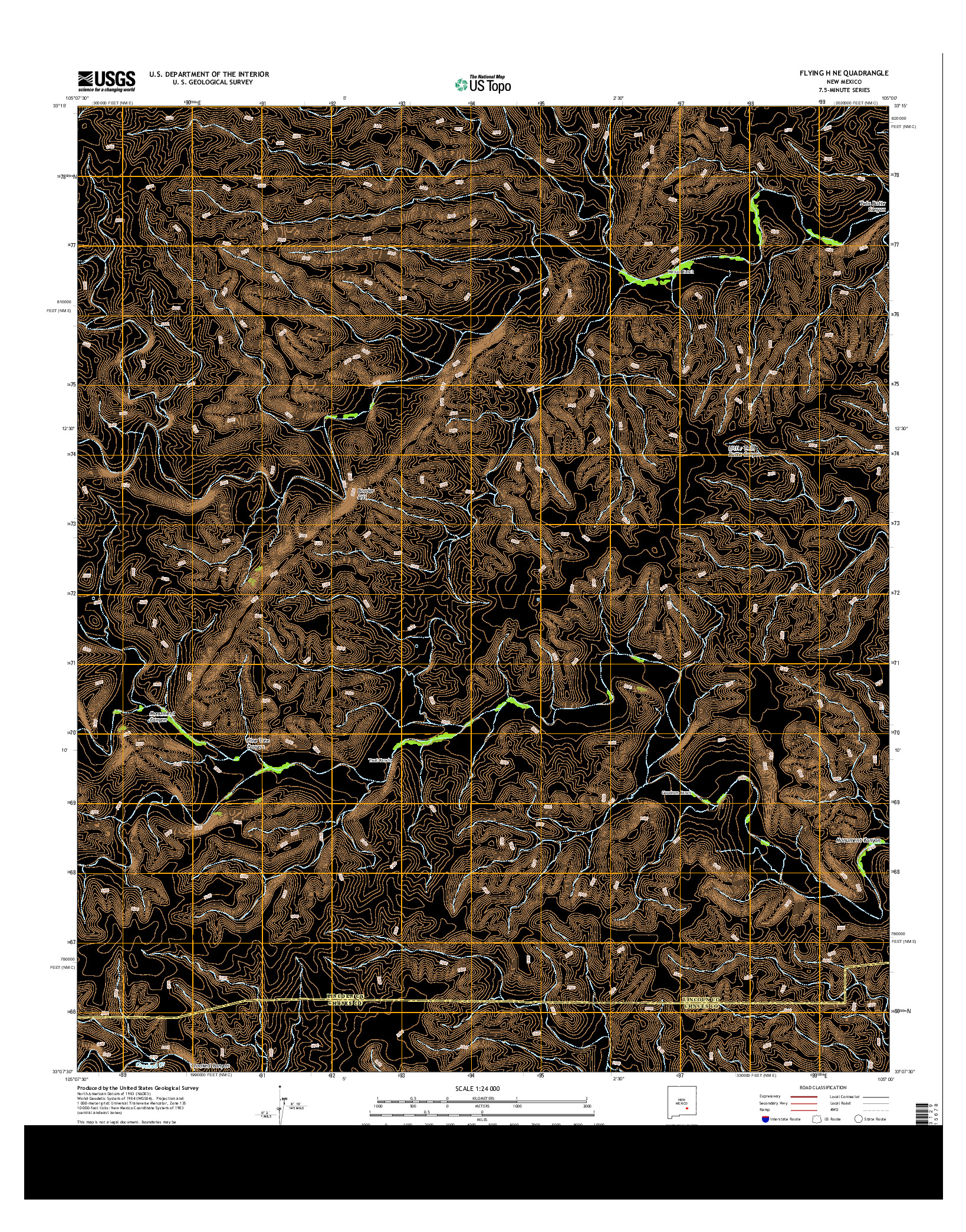 USGS US TOPO 7.5-MINUTE MAP FOR FLYING H NE, NM 2013