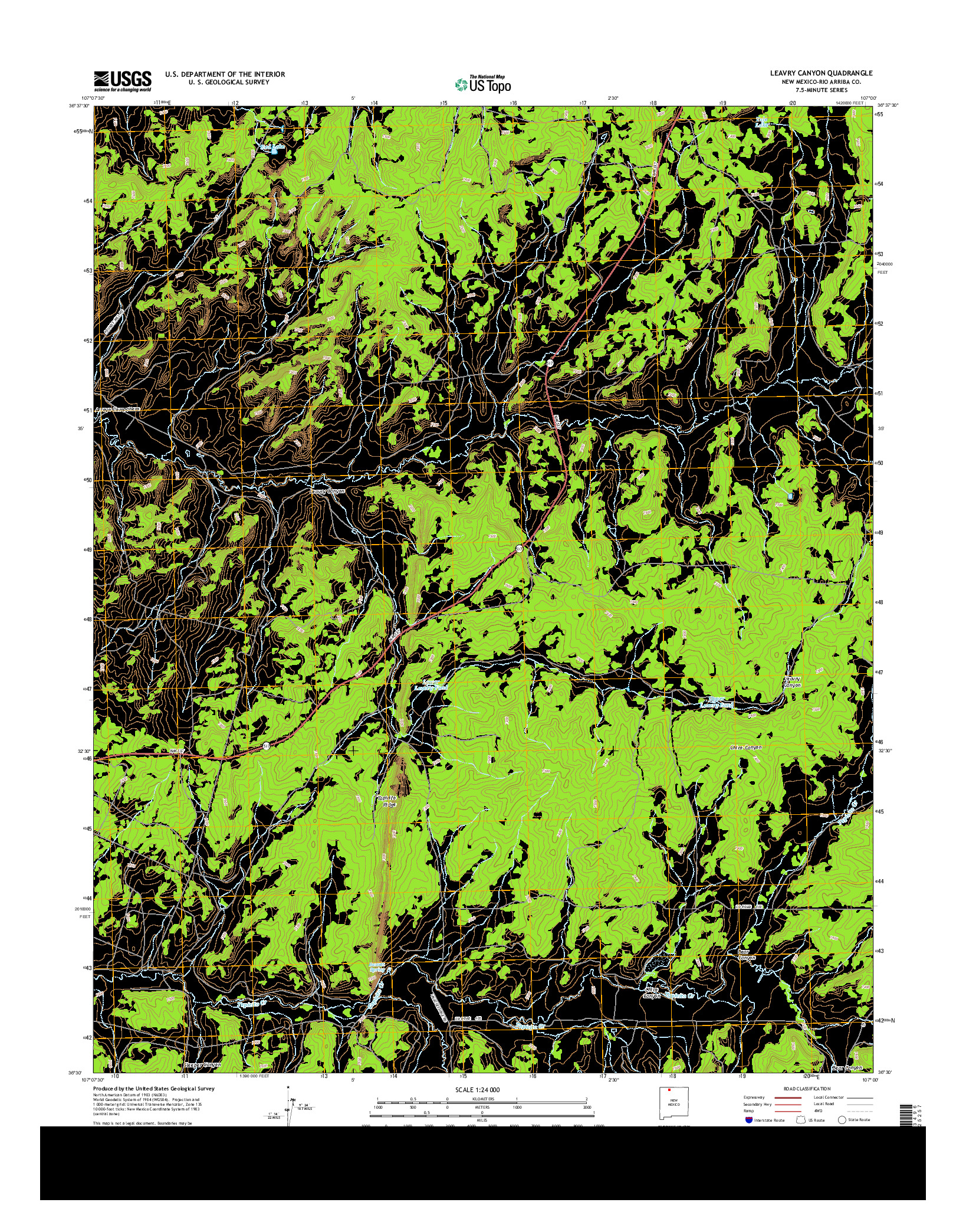 USGS US TOPO 7.5-MINUTE MAP FOR LEAVRY CANYON, NM 2013