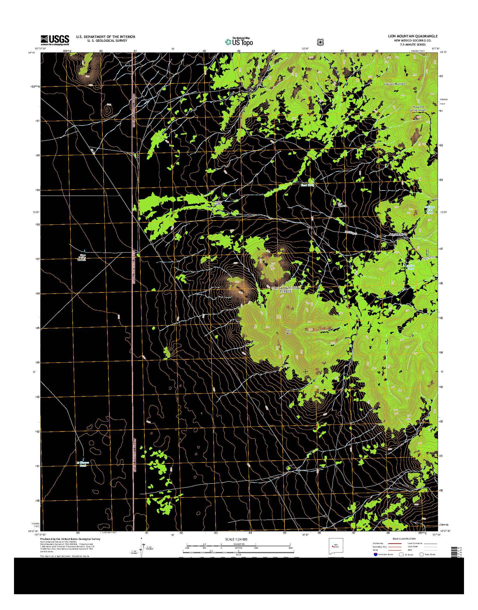 USGS US TOPO 7.5-MINUTE MAP FOR LION MOUNTAIN, NM 2013