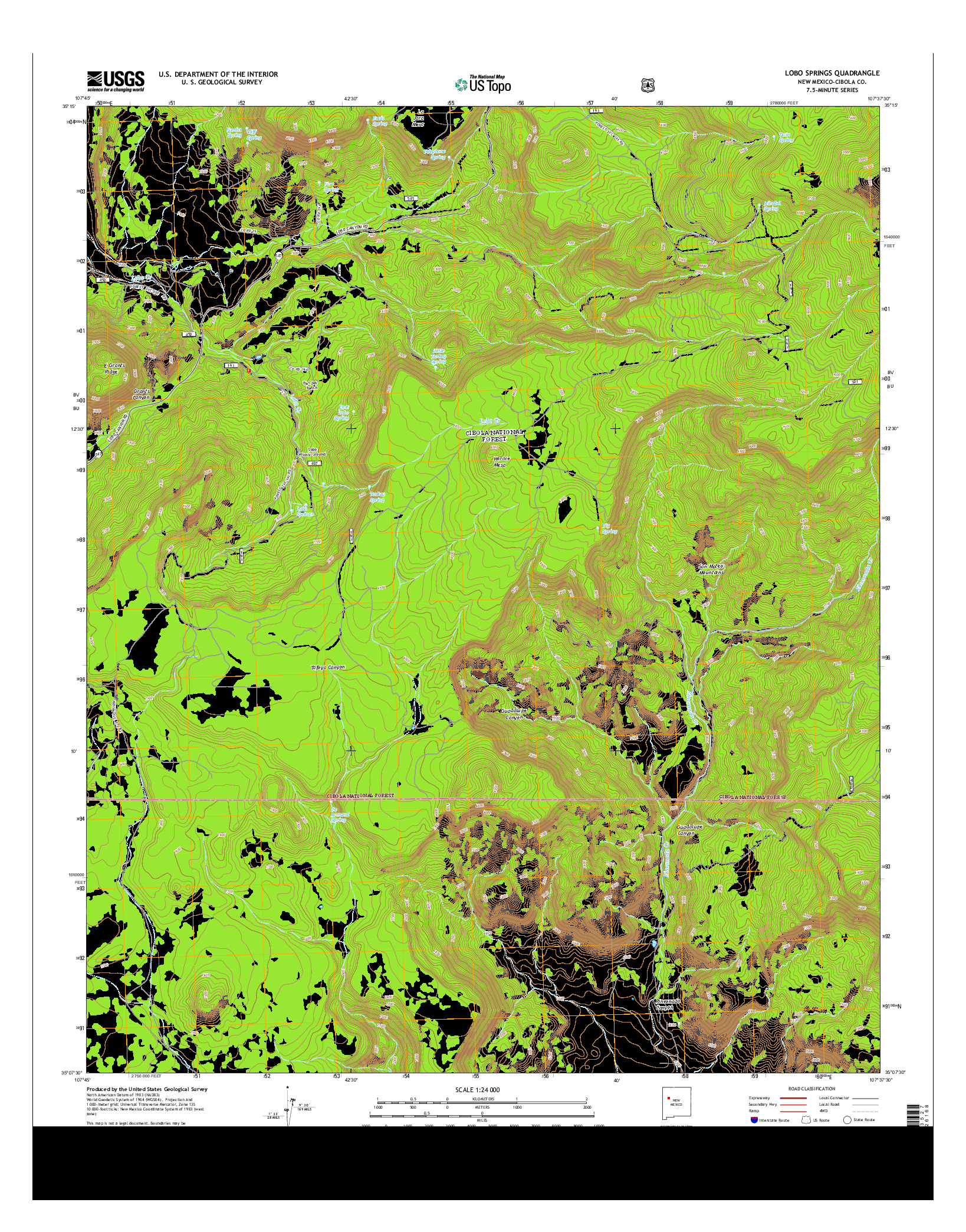 USGS US TOPO 7.5-MINUTE MAP FOR LOBO SPRINGS, NM 2013