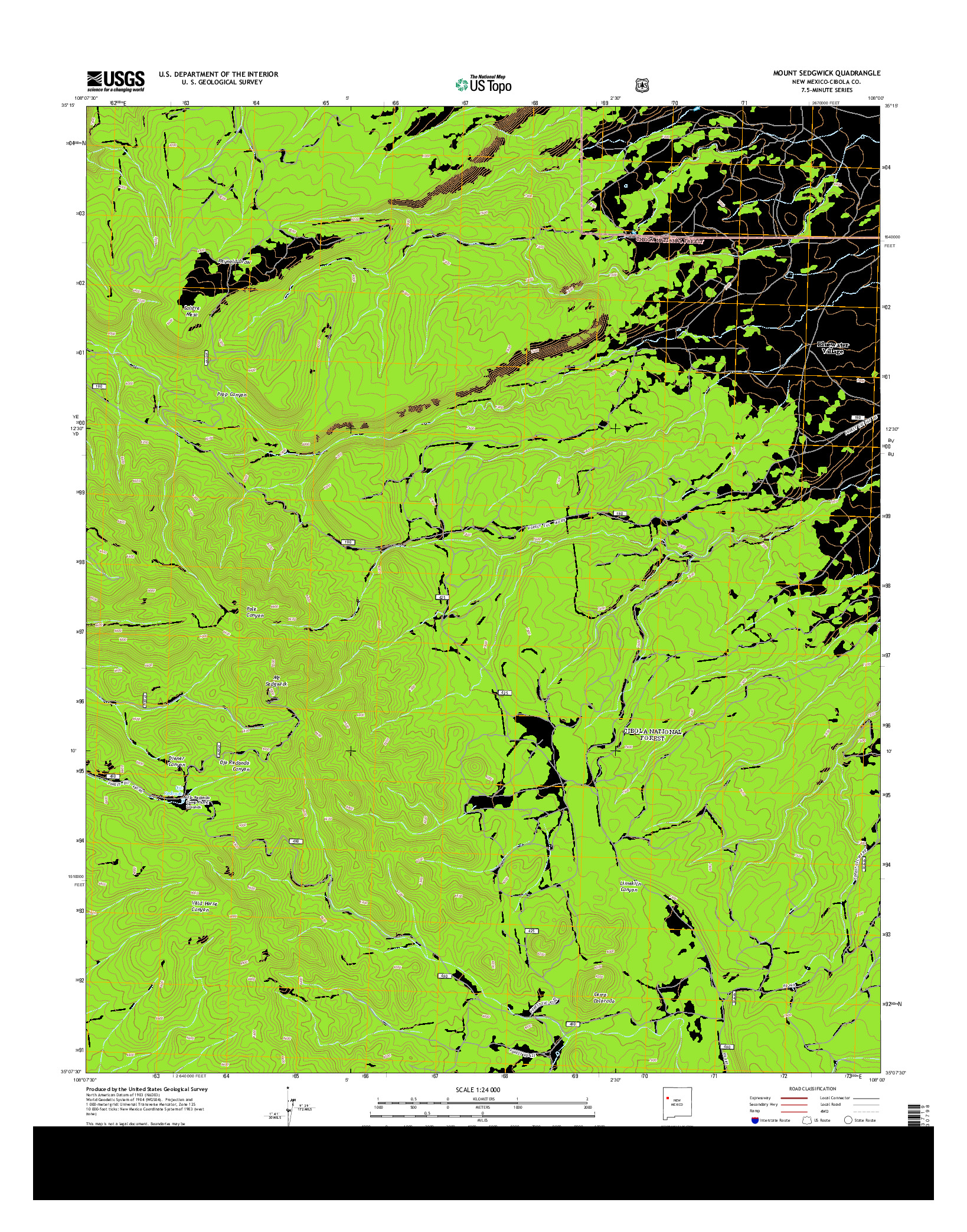 USGS US TOPO 7.5-MINUTE MAP FOR MOUNT SEDGWICK, NM 2013