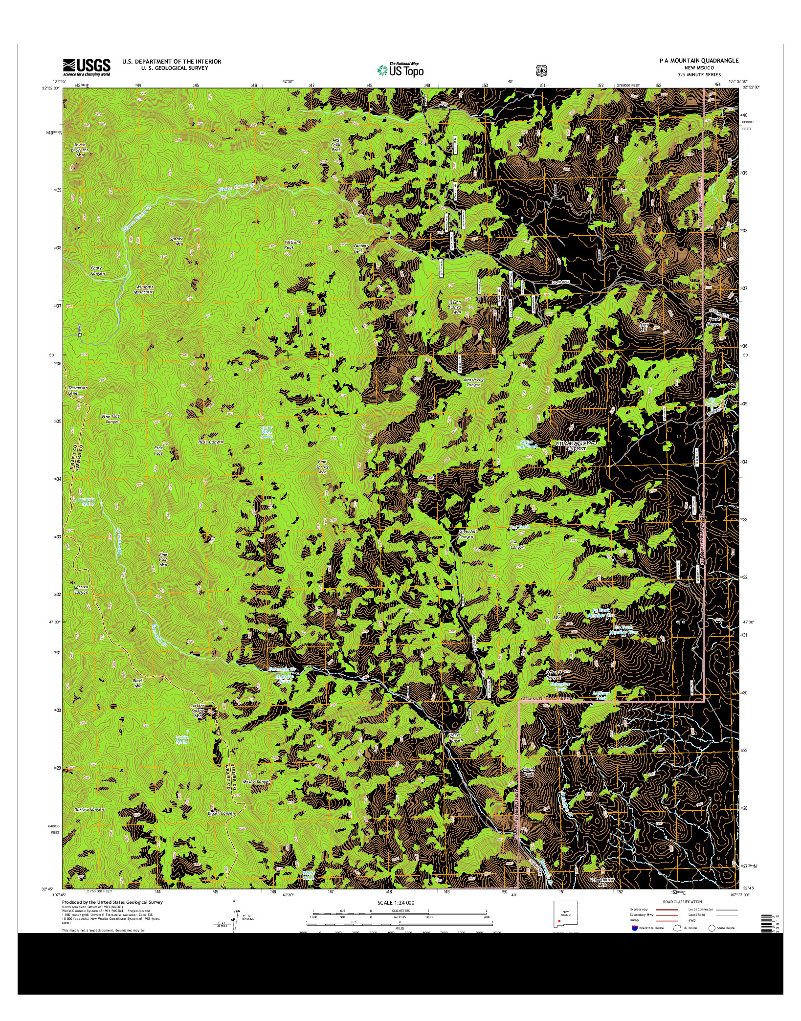 USGS US TOPO 7.5-MINUTE MAP FOR P A MOUNTAIN, NM 2013