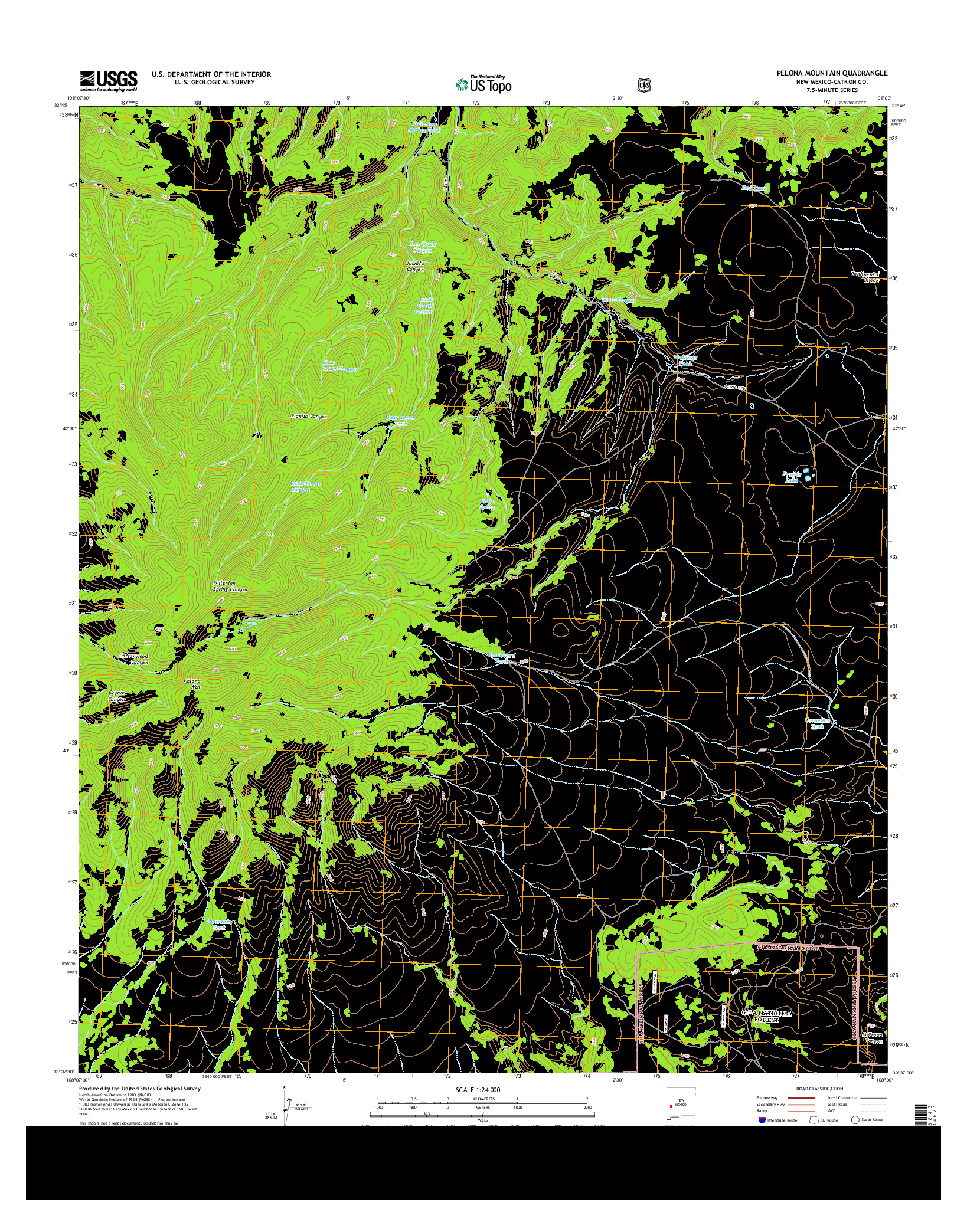 USGS US TOPO 7.5-MINUTE MAP FOR PELONA MOUNTAIN, NM 2013