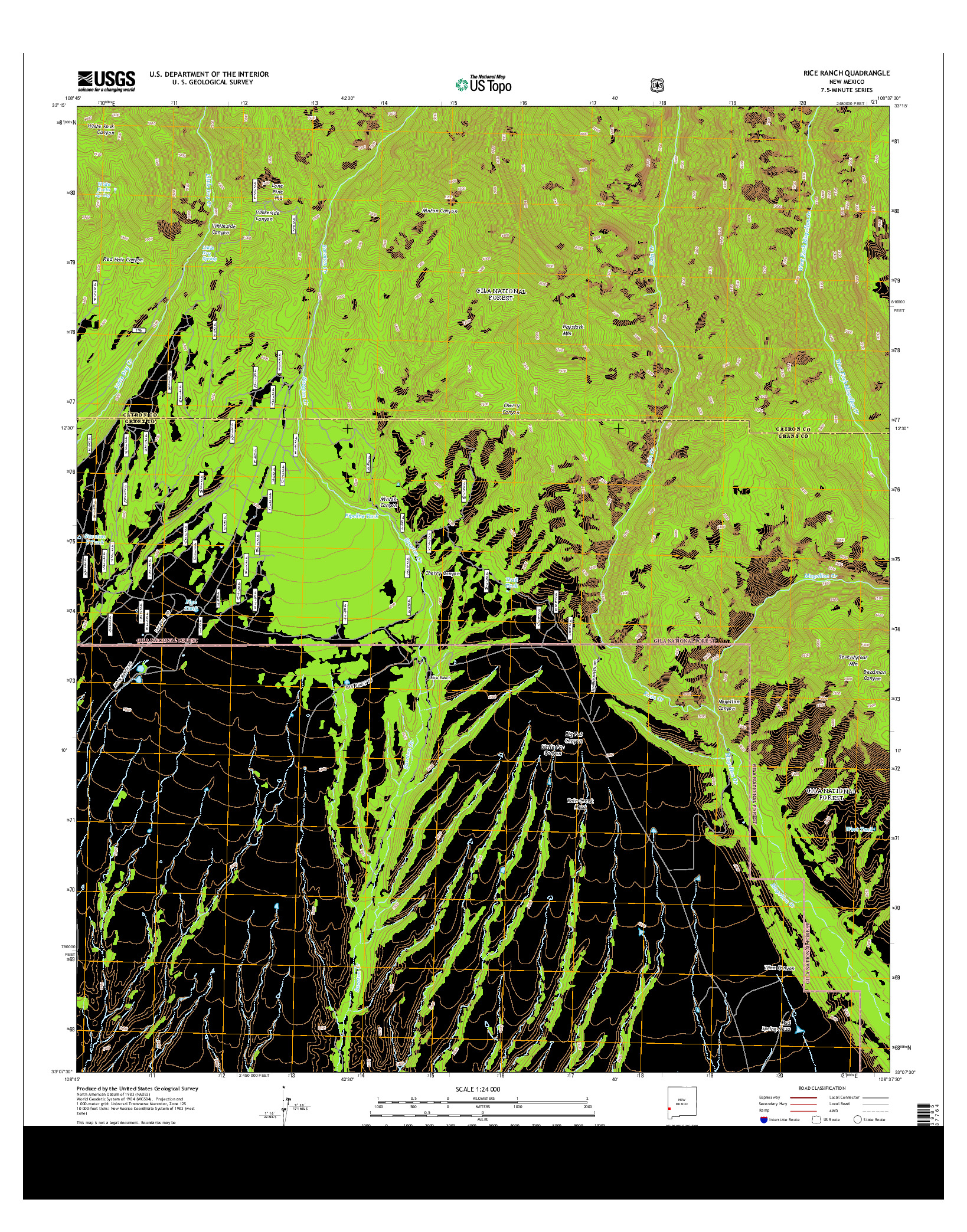 USGS US TOPO 7.5-MINUTE MAP FOR RICE RANCH, NM 2013