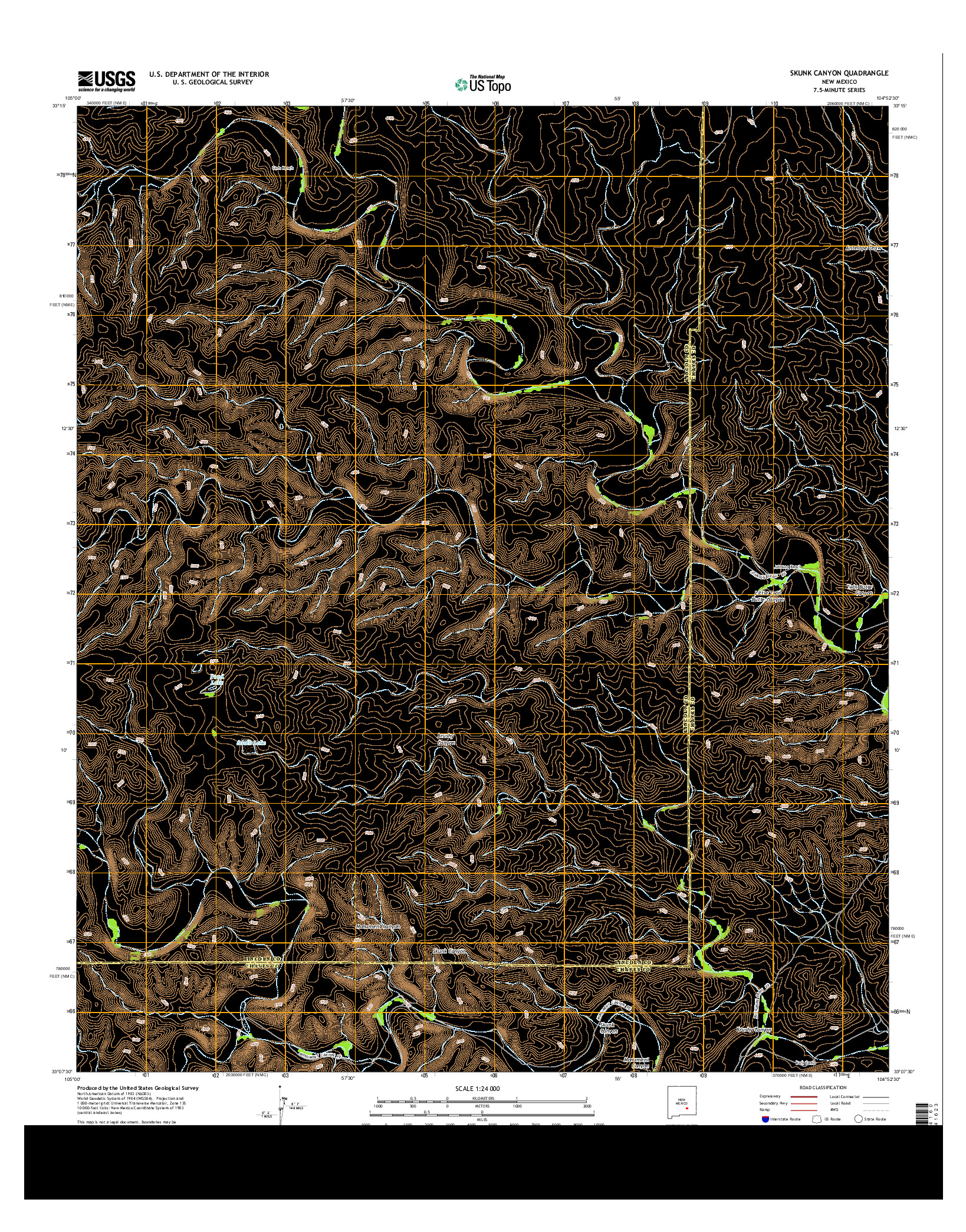 USGS US TOPO 7.5-MINUTE MAP FOR SKUNK CANYON, NM 2013