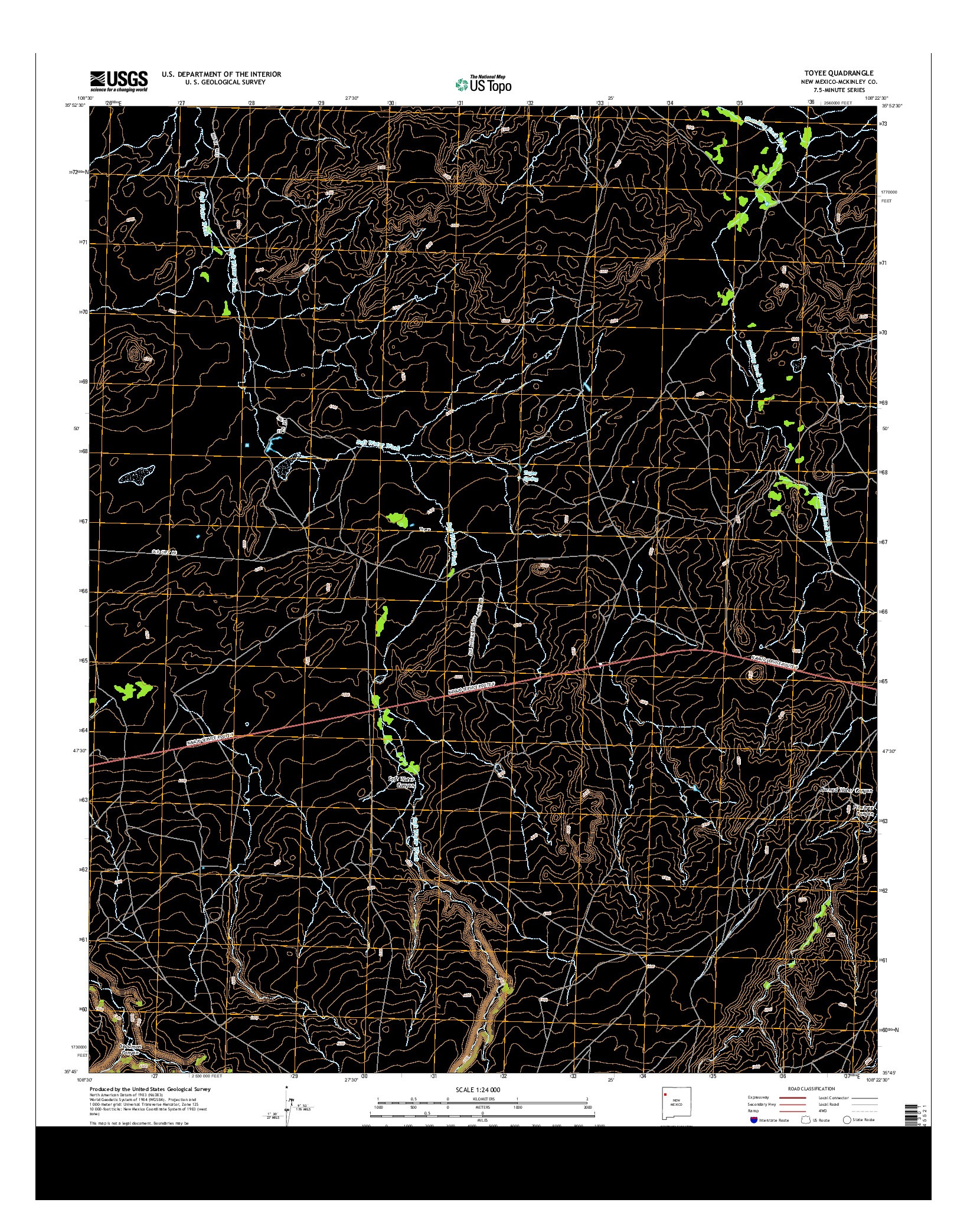 USGS US TOPO 7.5-MINUTE MAP FOR TOYEE, NM 2013