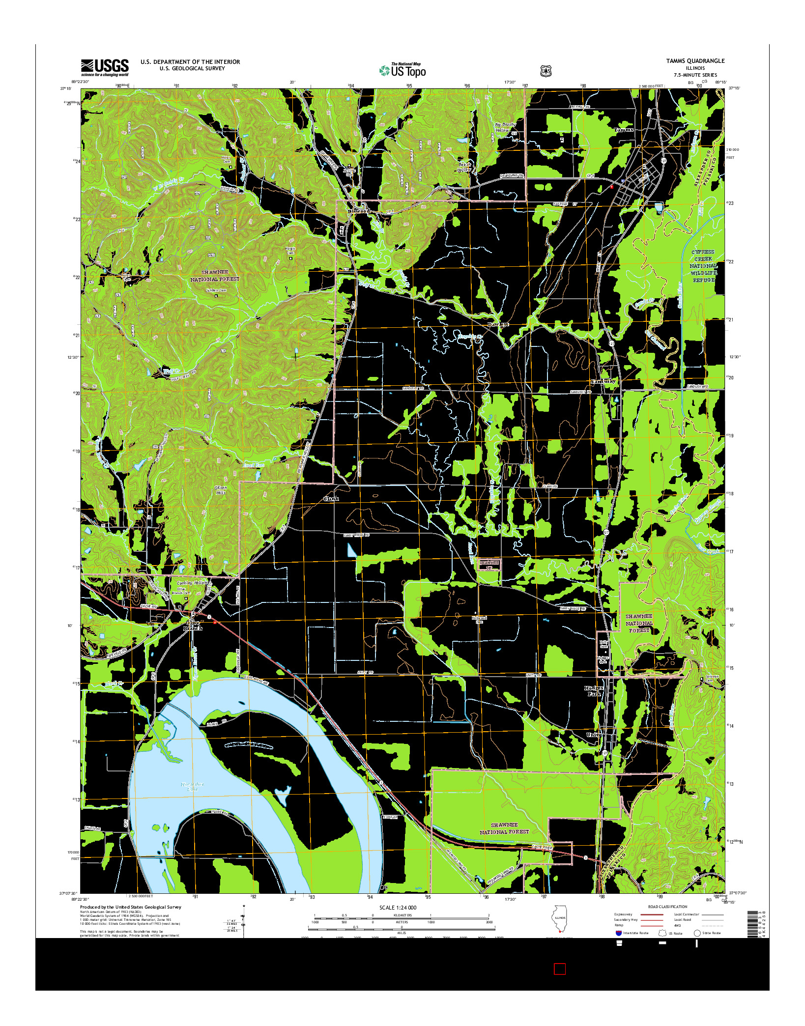 USGS US TOPO 7.5-MINUTE MAP FOR TAMMS, IL 2015