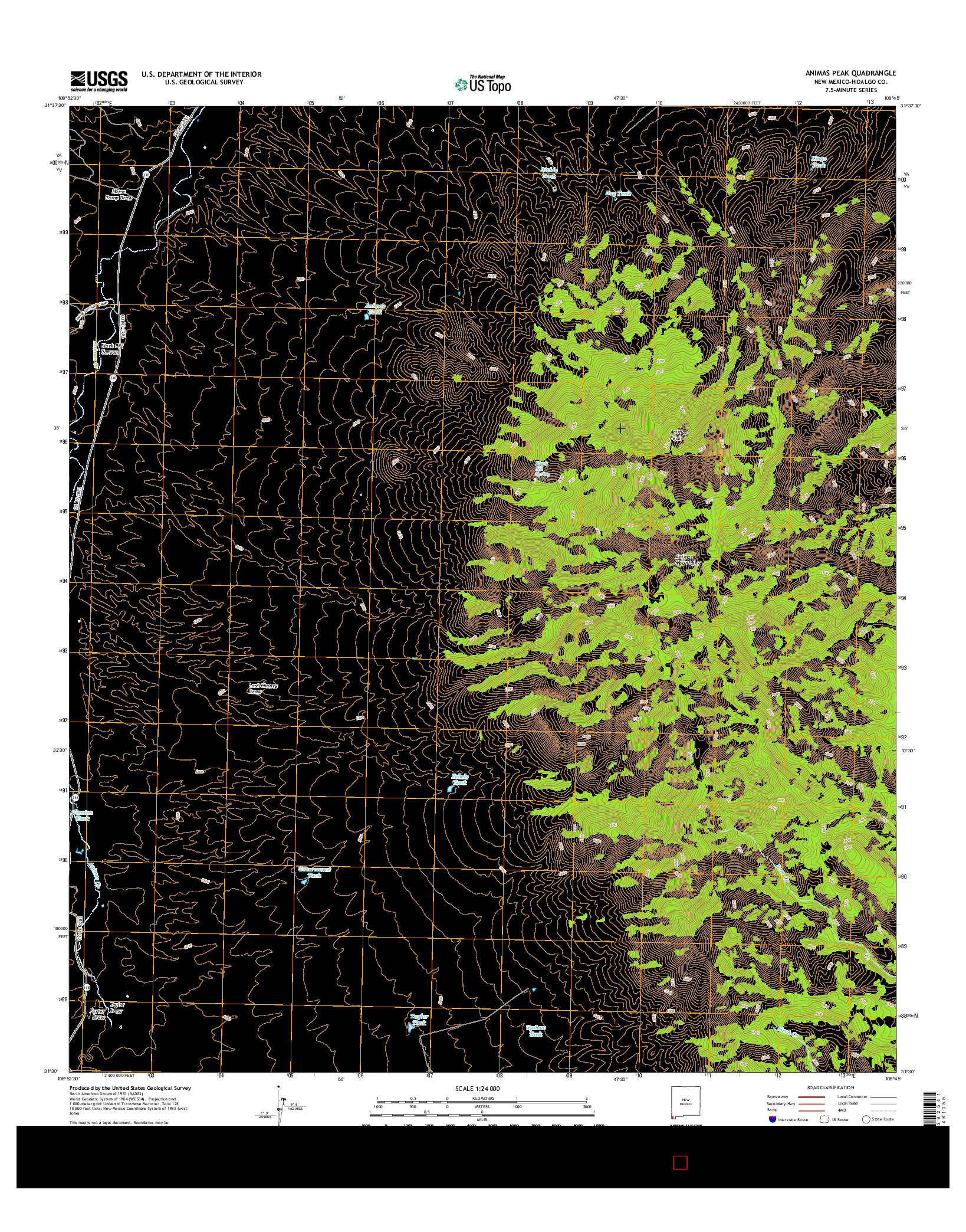 USGS US TOPO 7.5-MINUTE MAP FOR ANIMAS PEAK, NM 2017