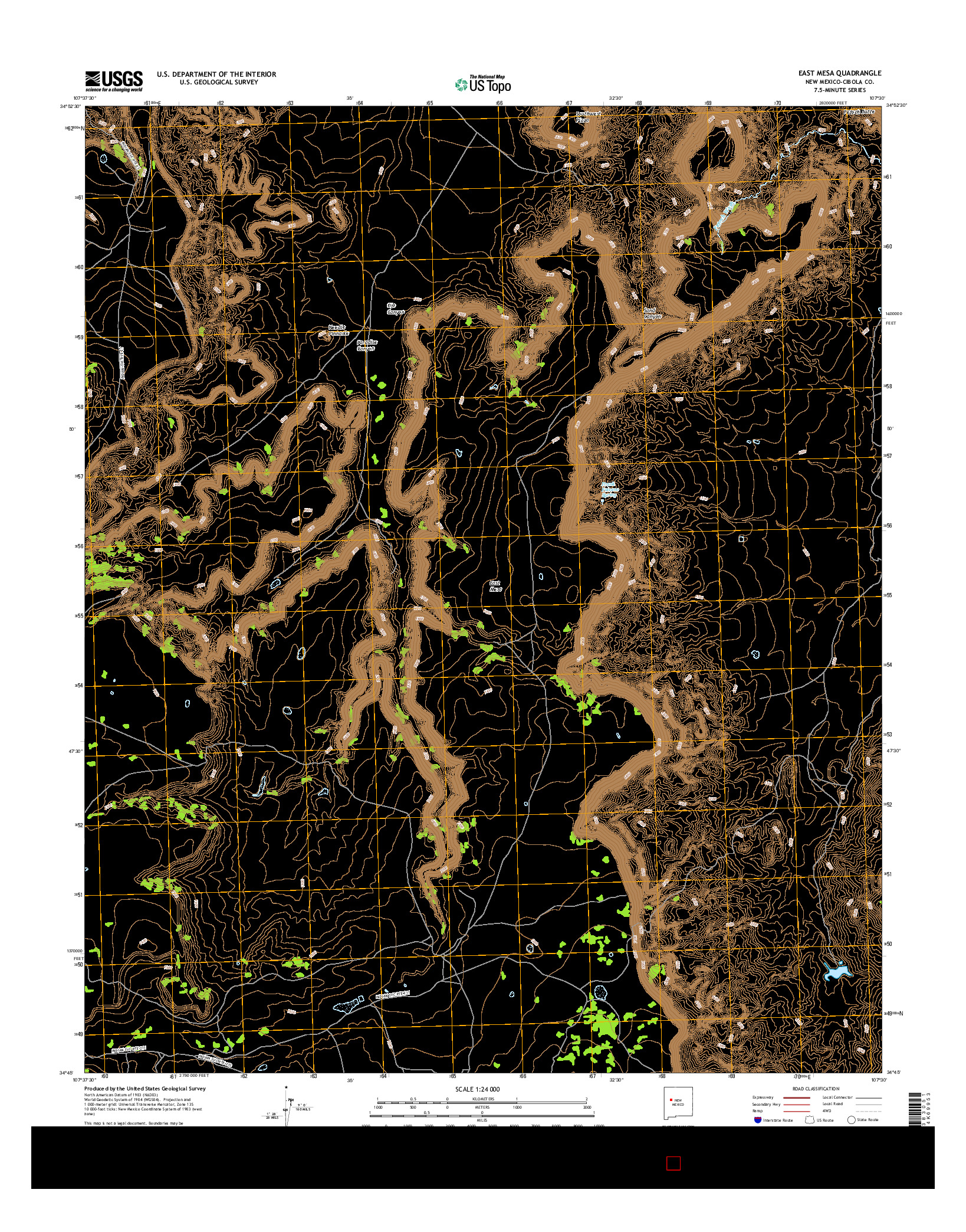 USGS US TOPO 7.5-MINUTE MAP FOR EAST MESA, NM 2017