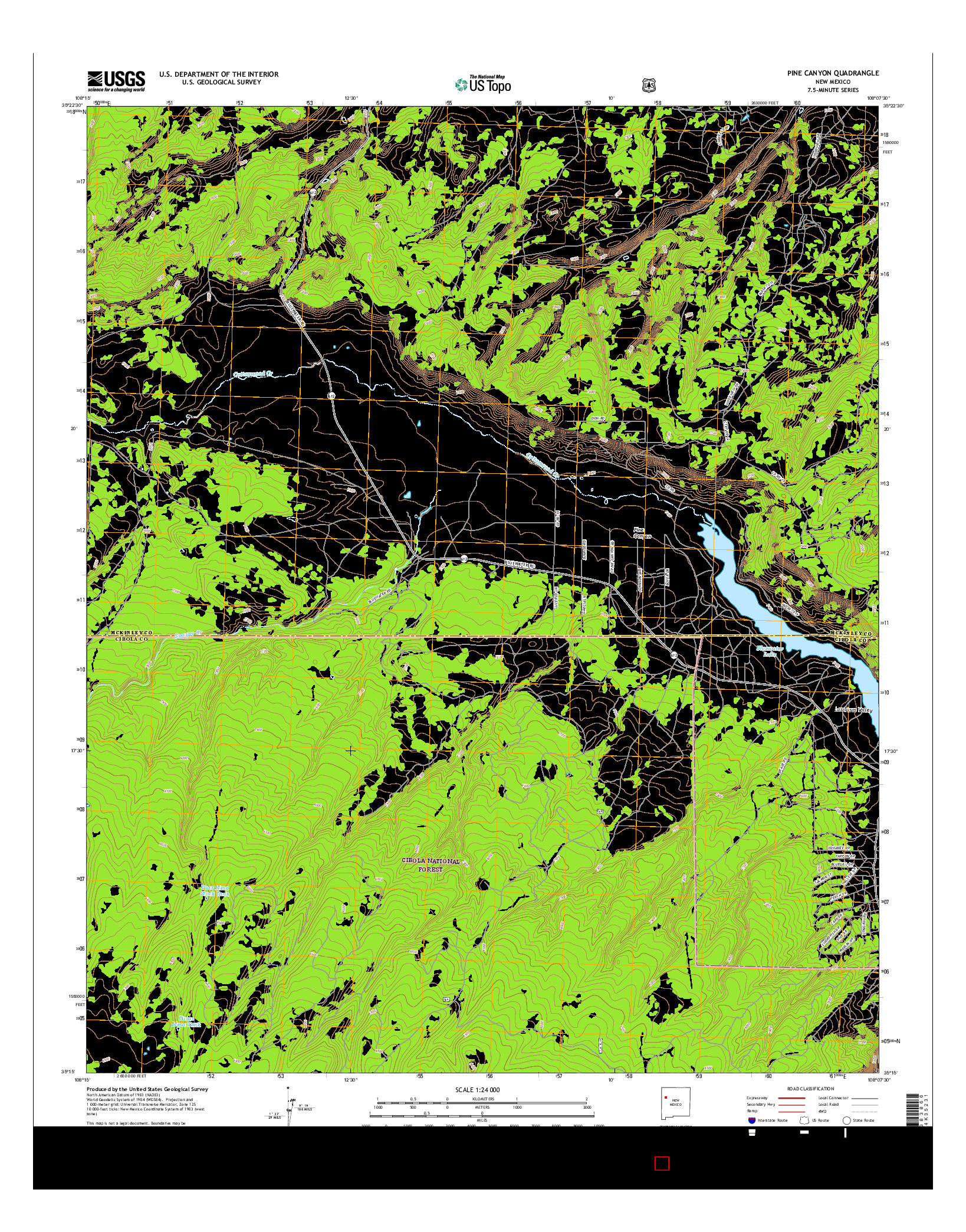 USGS US TOPO 7.5-MINUTE MAP FOR PINE CANYON, NM 2017