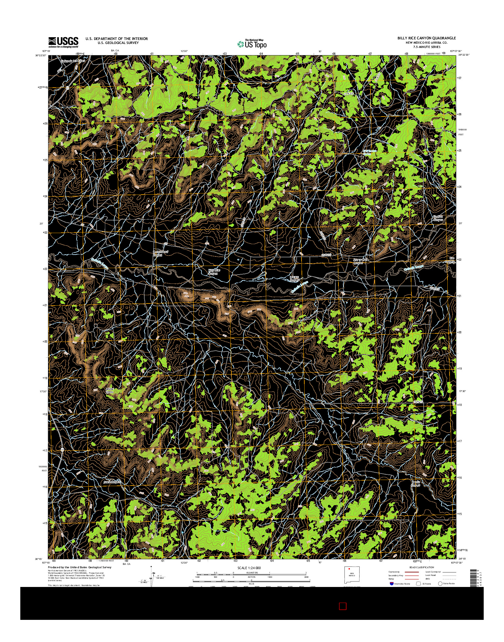 USGS US TOPO 7.5-MINUTE MAP FOR BILLY RICE CANYON, NM 2017