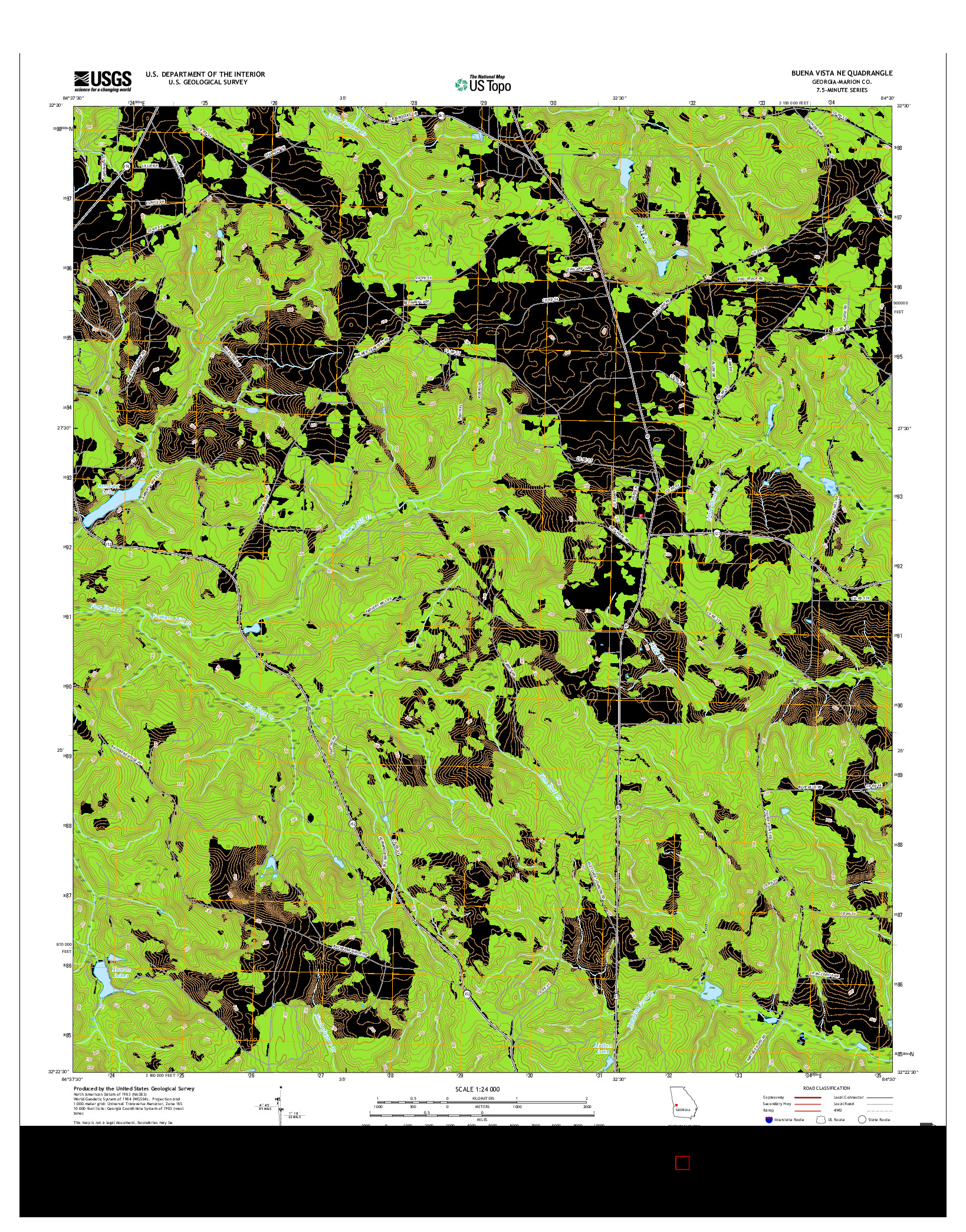 USGS US TOPO 7.5-MINUTE MAP FOR BUENA VISTA NE, GA 2017