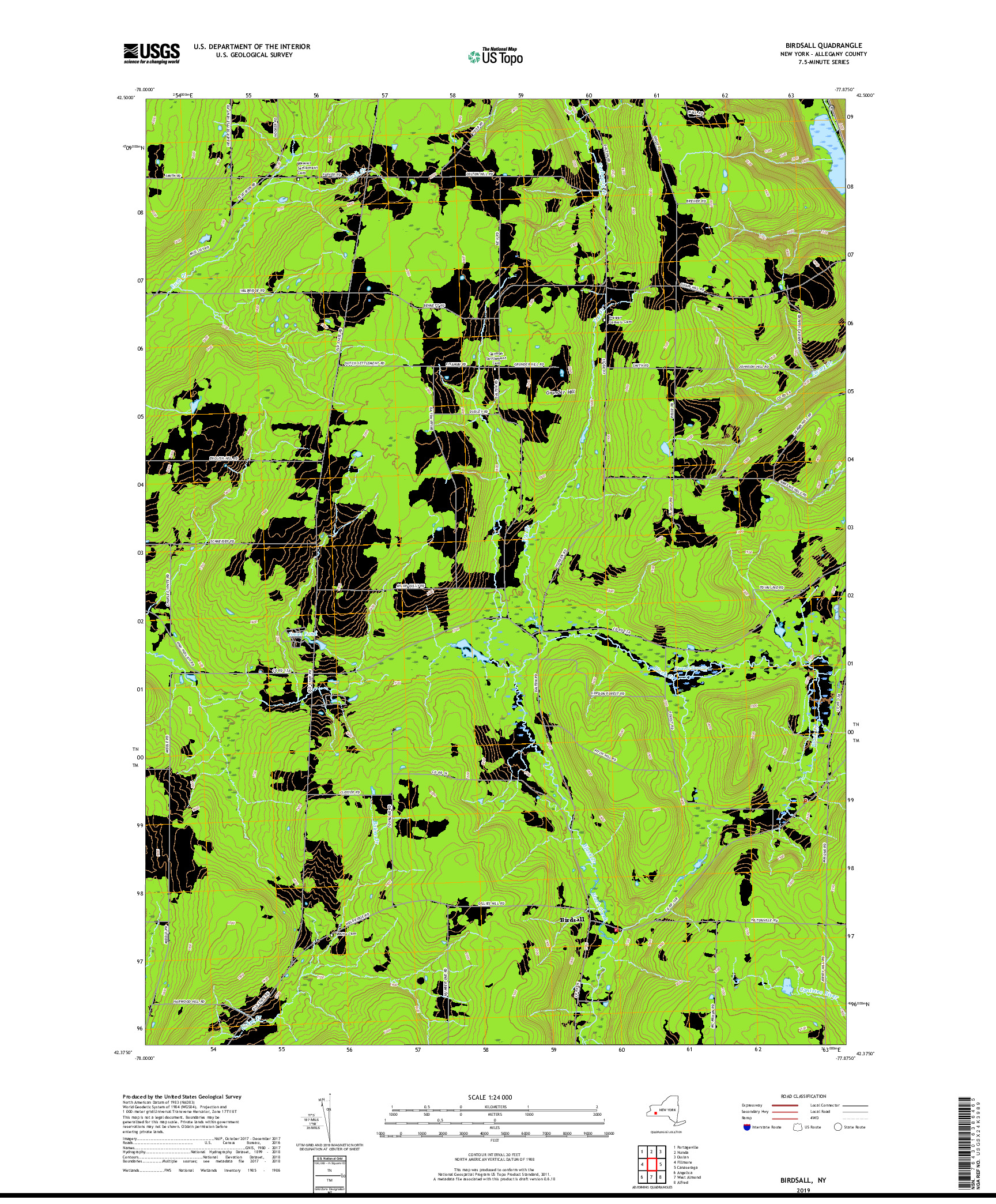 USGS US TOPO 7.5-MINUTE MAP FOR BIRDSALL, NY 2019