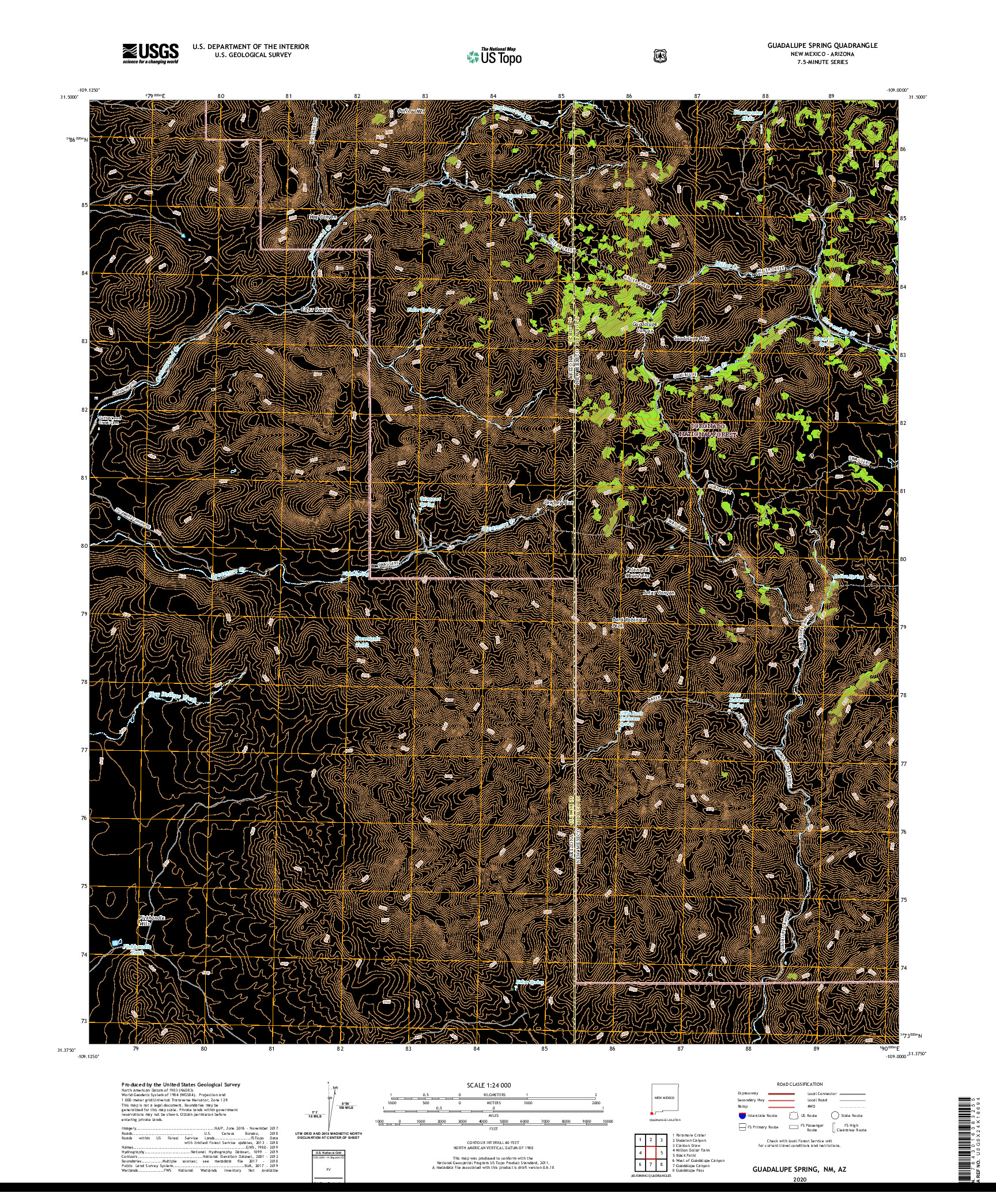 USGS US TOPO 7.5-MINUTE MAP FOR GUADALUPE SPRING, NM,AZ 2020
