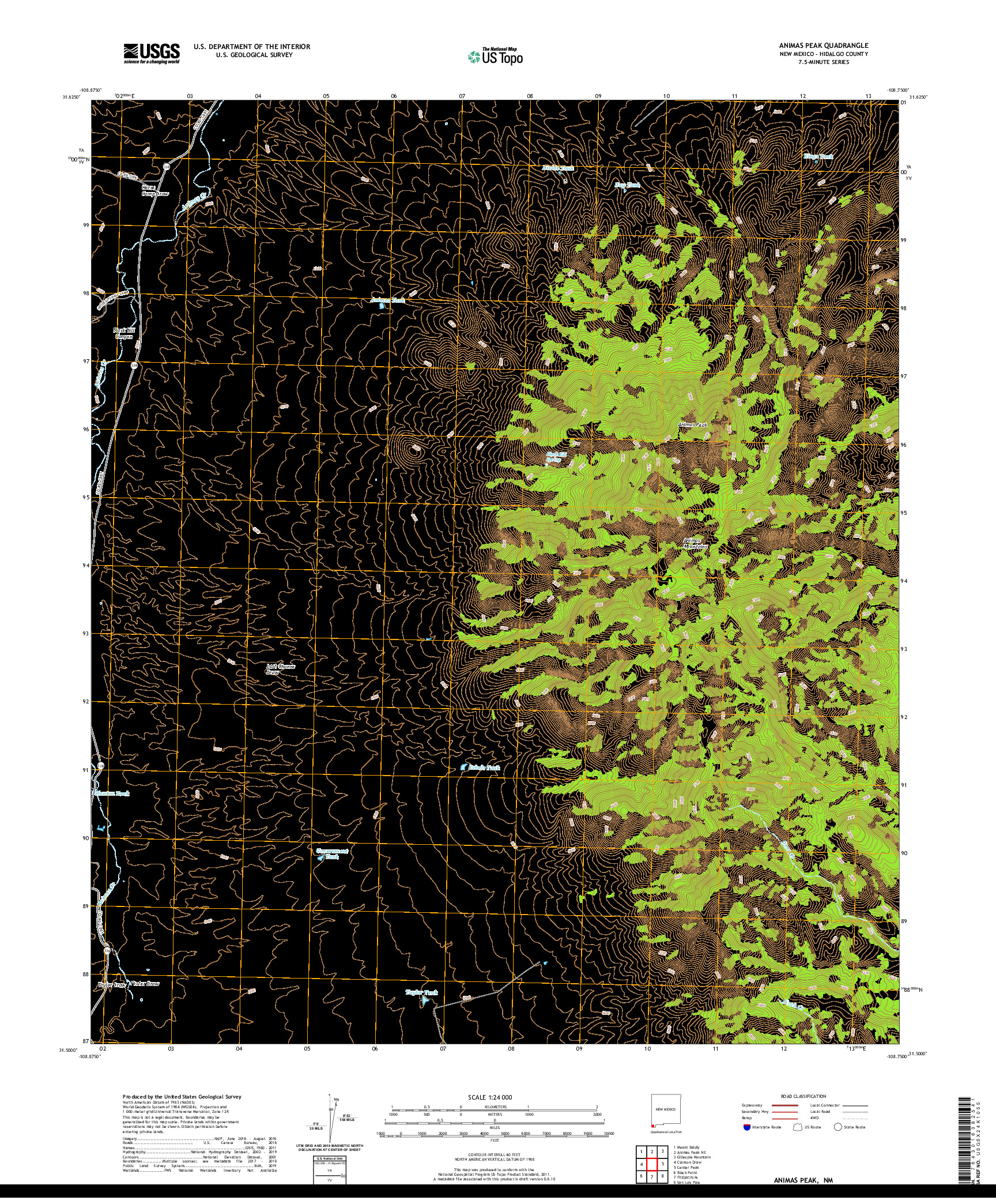 USGS US TOPO 7.5-MINUTE MAP FOR ANIMAS PEAK, NM 2020