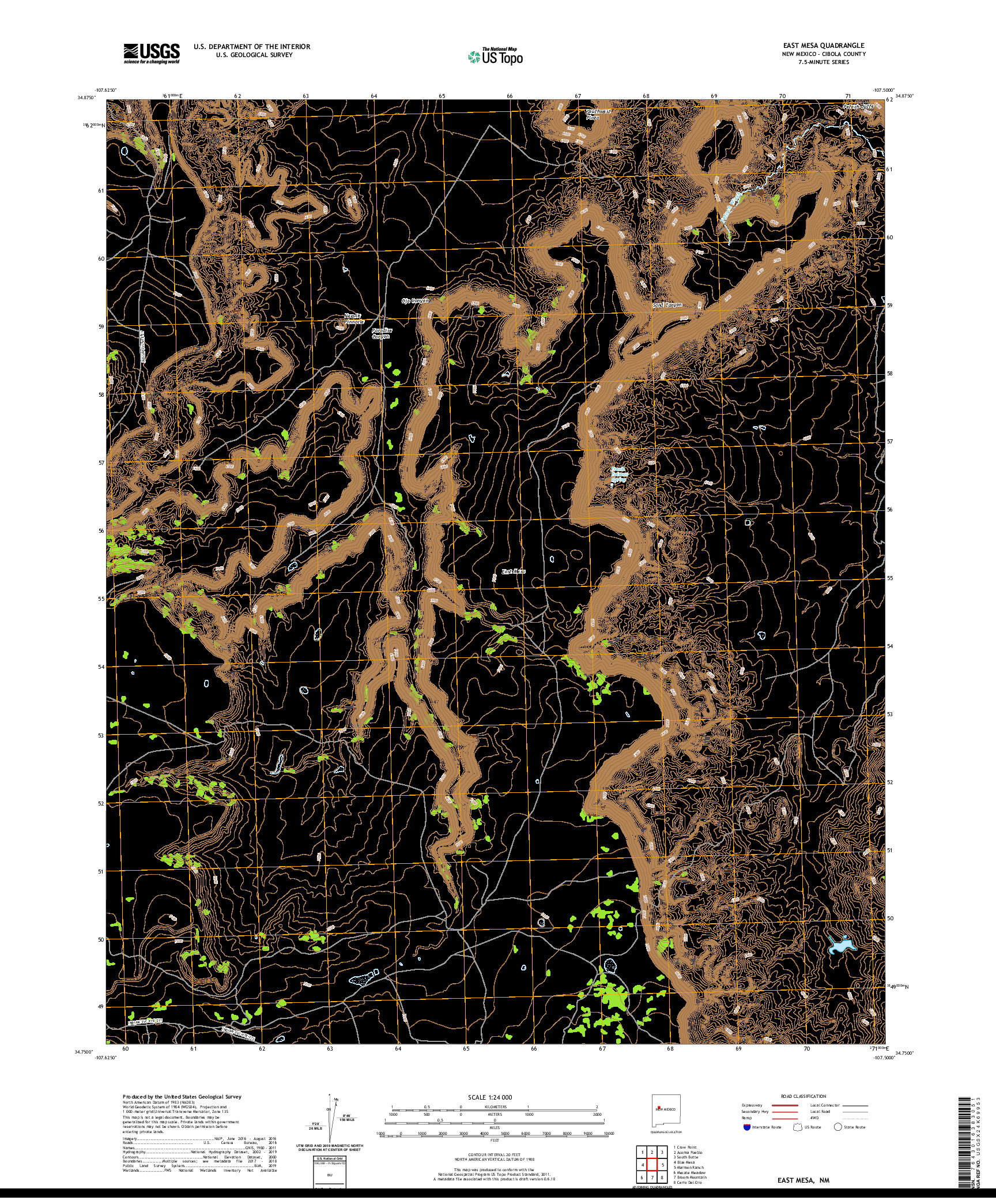 USGS US TOPO 7.5-MINUTE MAP FOR EAST MESA, NM 2020