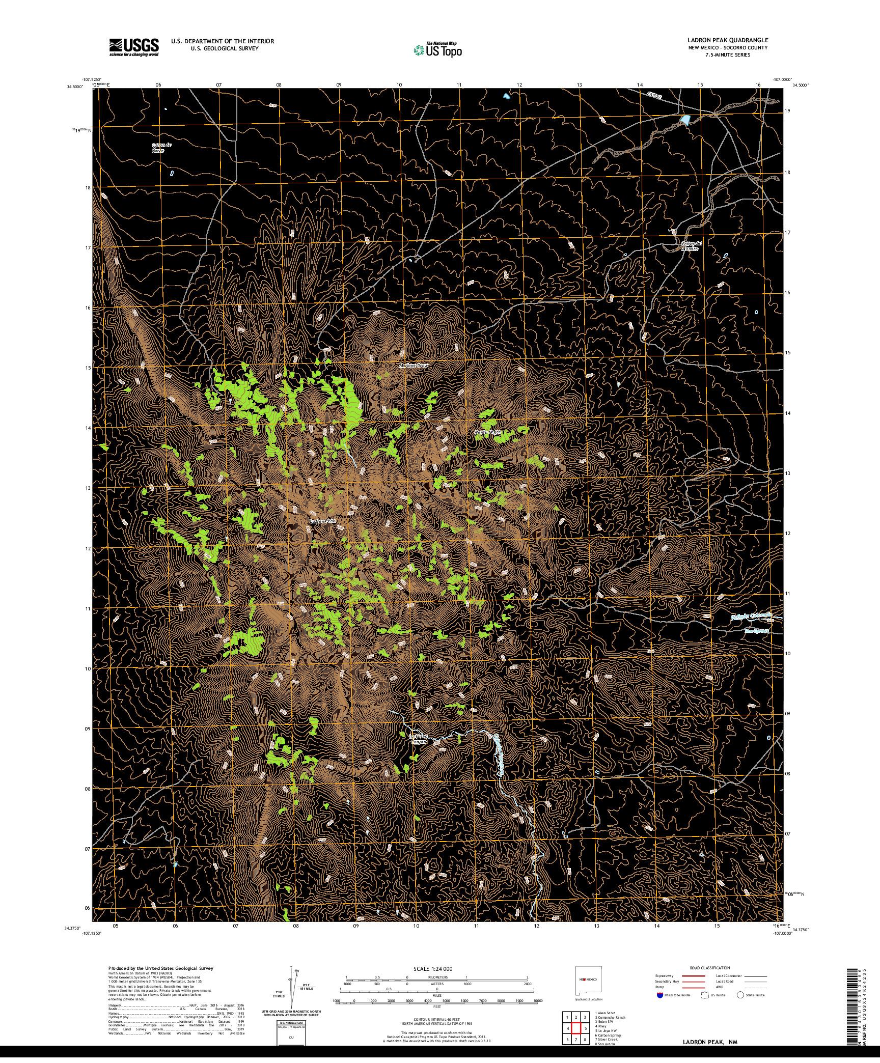 USGS US TOPO 7.5-MINUTE MAP FOR LADRON PEAK, NM 2020