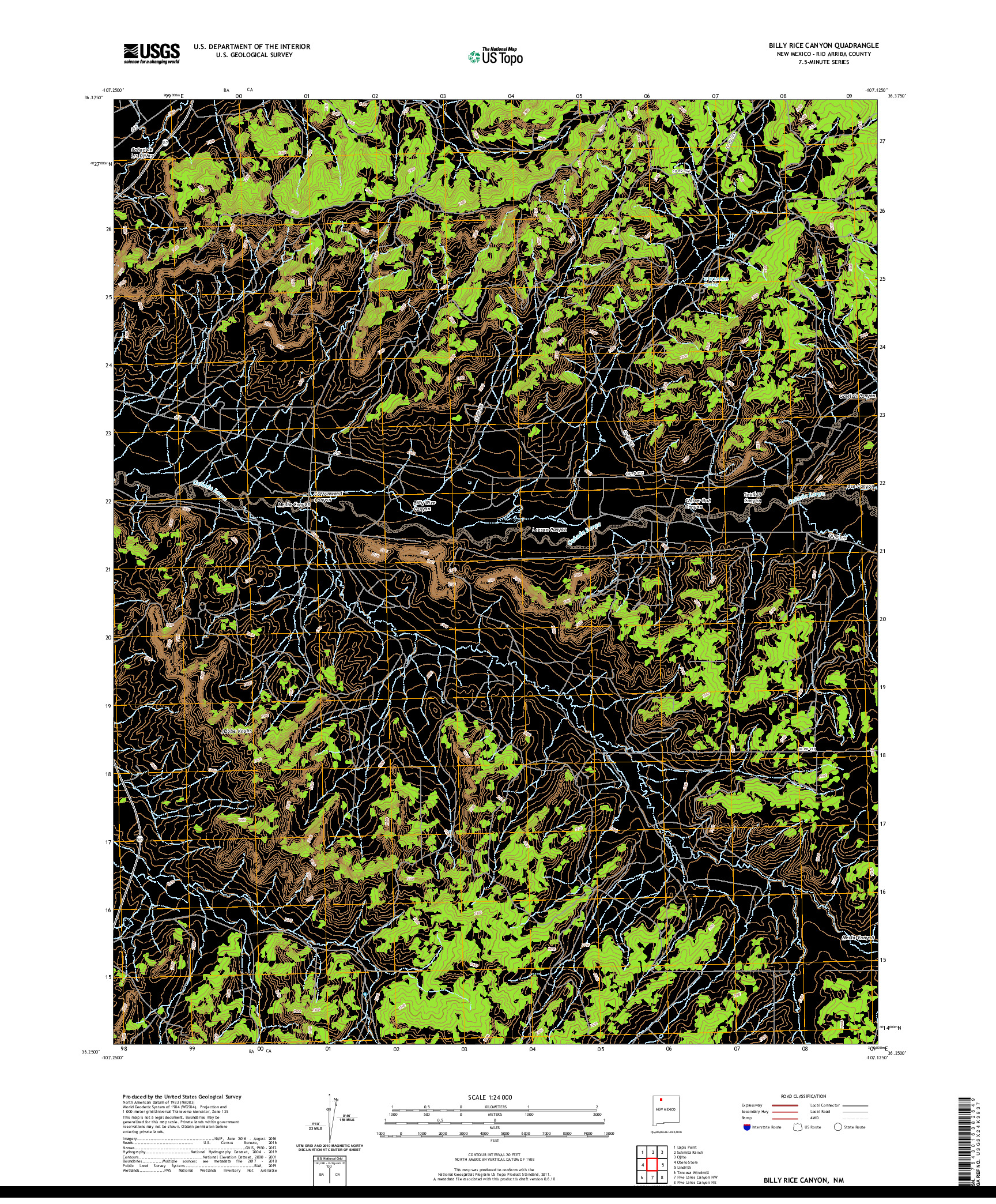 USGS US TOPO 7.5-MINUTE MAP FOR BILLY RICE CANYON, NM 2020