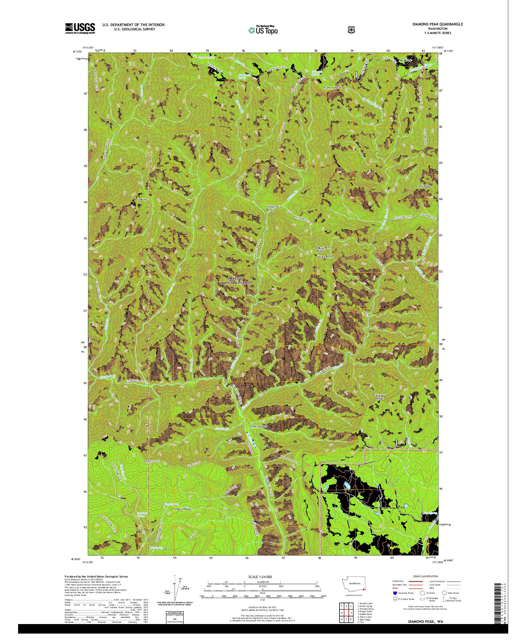 USGS US TOPO 7.5-MINUTE MAP FOR DIAMOND PEAK, WA 2020