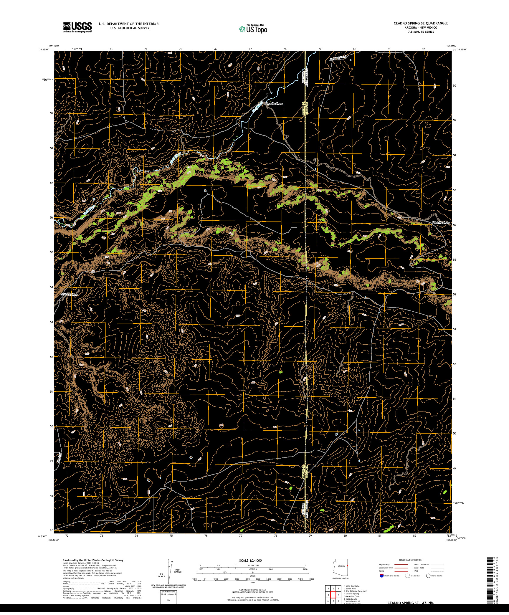 US TOPO 7.5-MINUTE MAP FOR CEADRO SPRING SE, AZ,NM