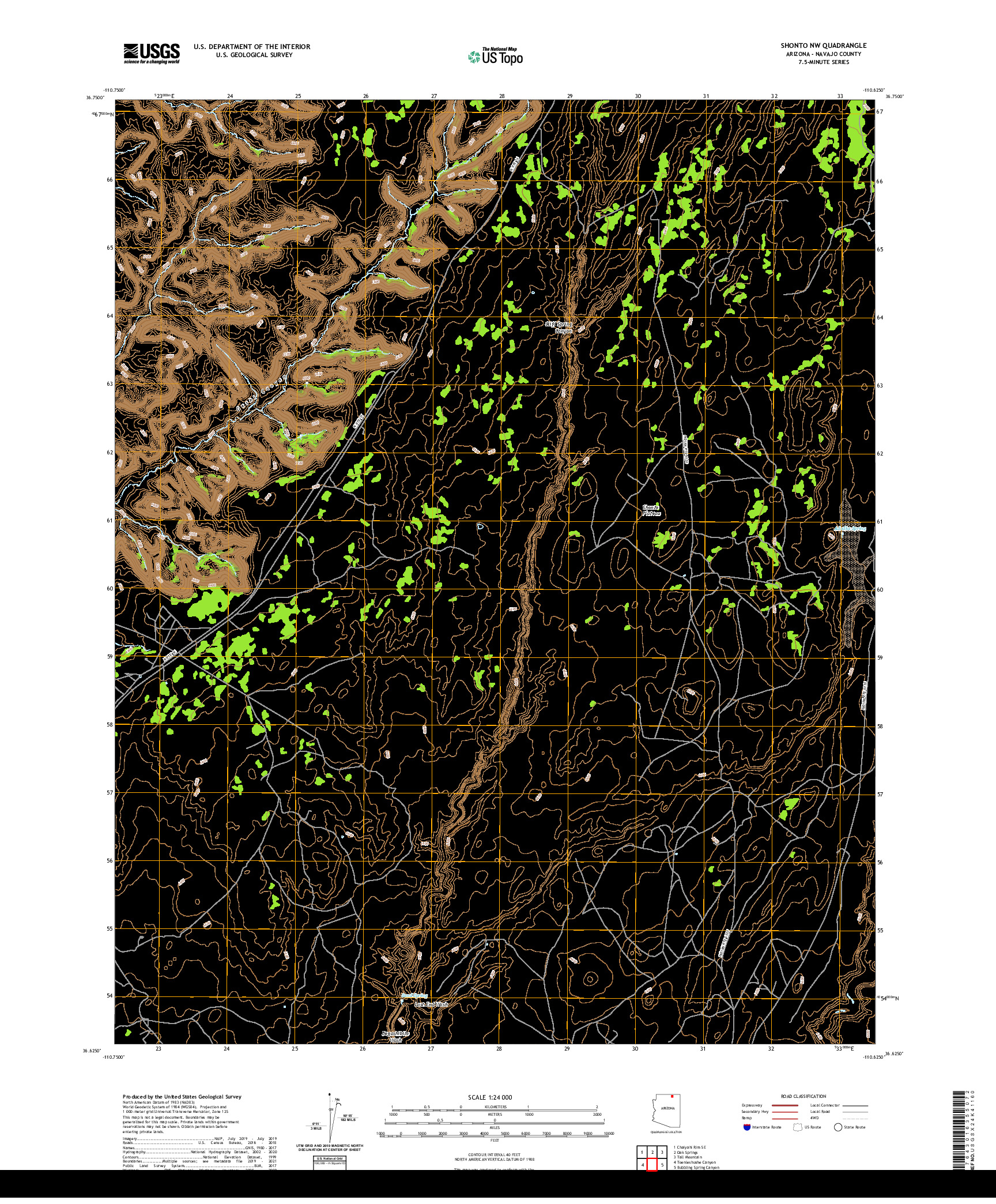 US TOPO 7.5-MINUTE MAP FOR SHONTO NW, AZ