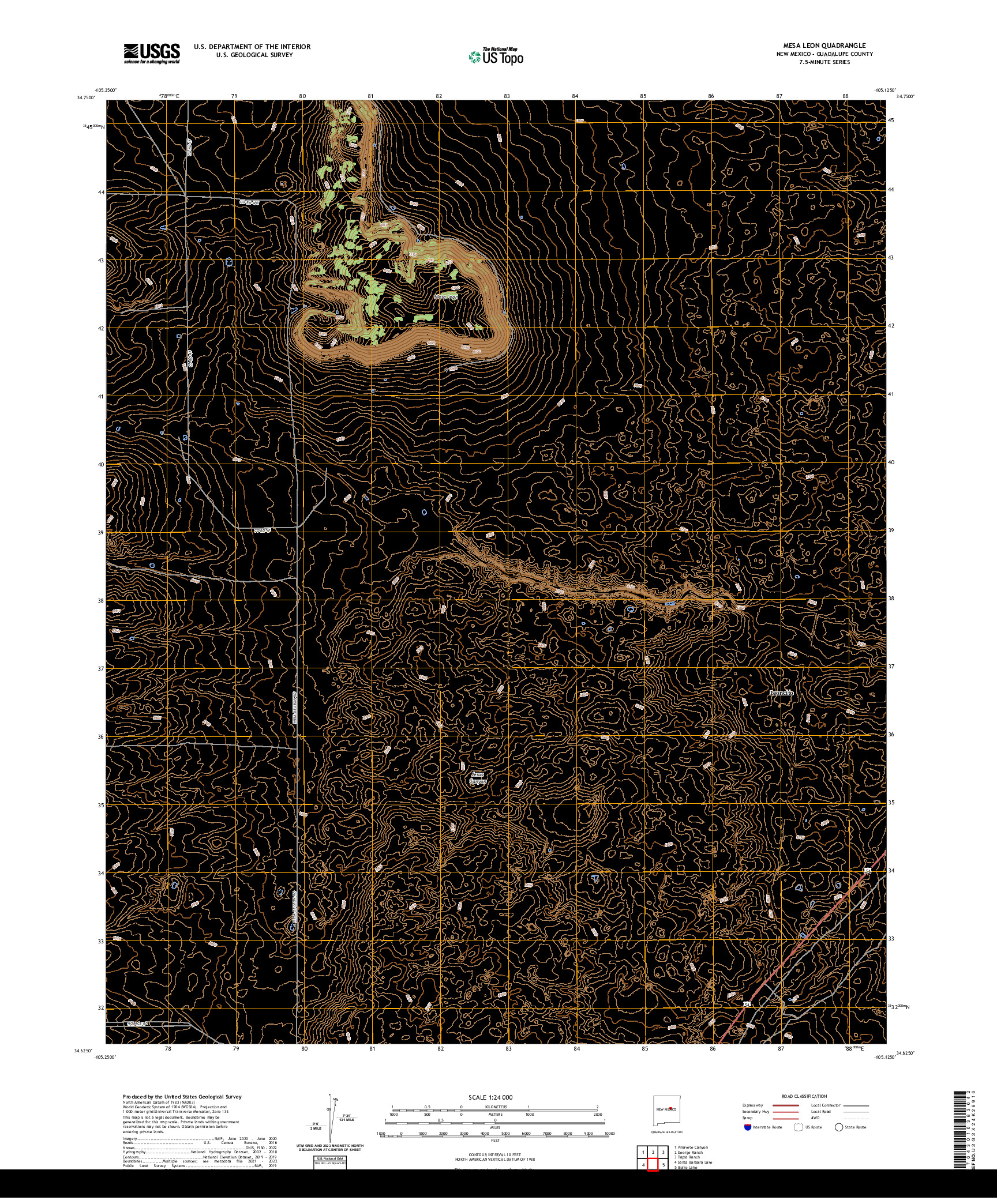 US TOPO 7.5-MINUTE MAP FOR MESA LEON, NM