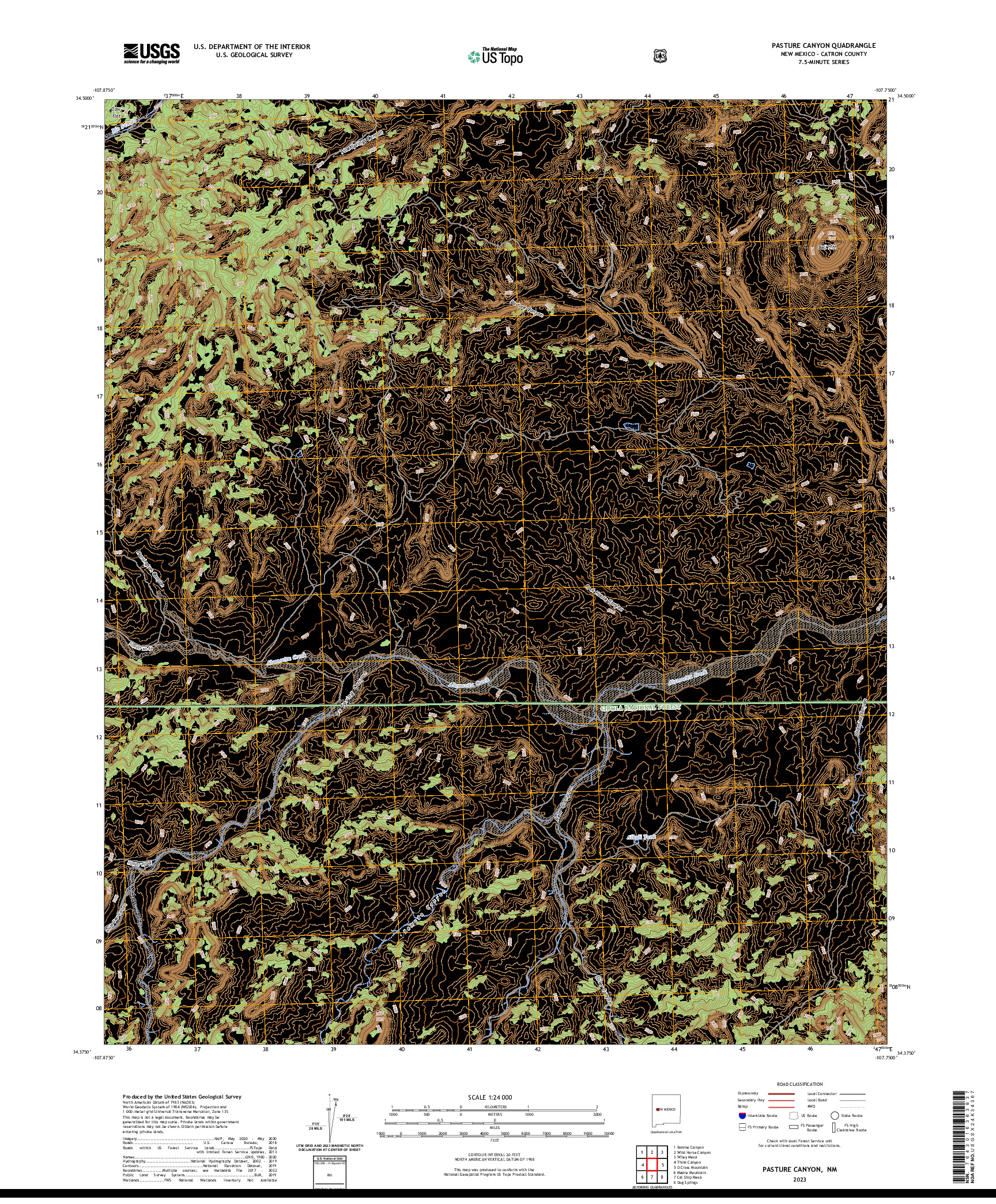 US TOPO 7.5-MINUTE MAP FOR PASTURE CANYON, NM