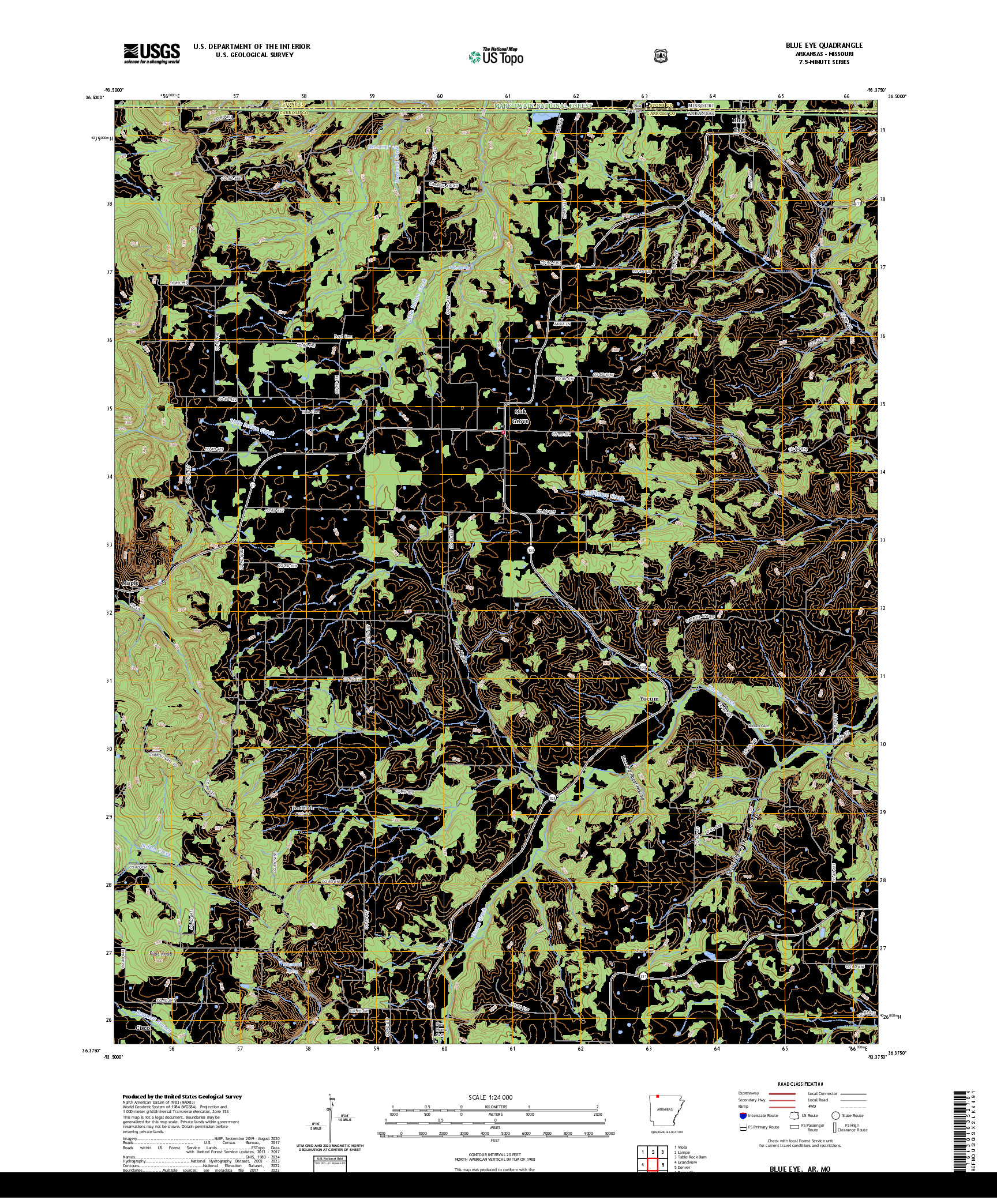 US TOPO 7.5-MINUTE MAP FOR BLUE EYE, AR,MO