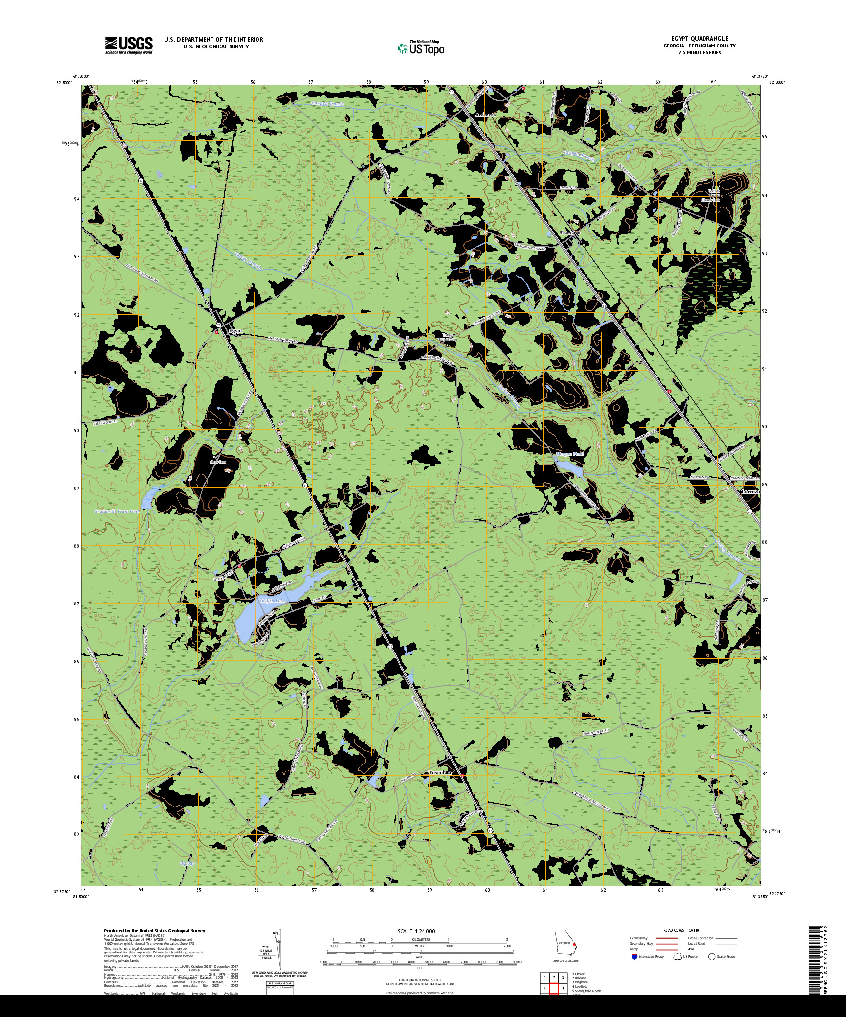 US TOPO 7.5-MINUTE MAP FOR EGYPT, GA